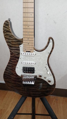 Esp guitare électrique - guitare, de