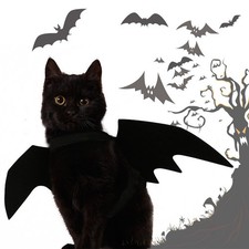  Déguisement Halloween Pour