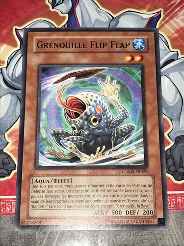 Carte grenouille flip - grenouille,