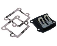 Boite à clapets POLINI pour