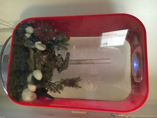 aquarium Biorb 45 litres avec