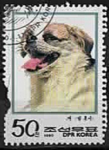 1990 corée chiens - 1990., corée.