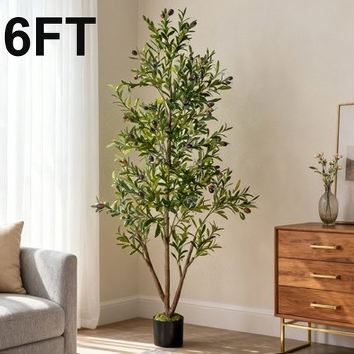 Novaroot 6ft tall - 6ft, olive