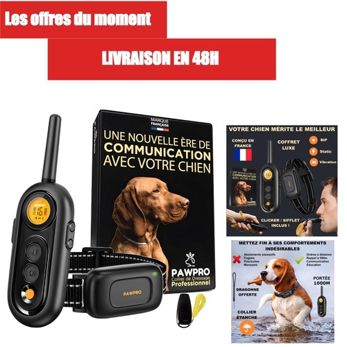 Pawpro collier dressage - de,