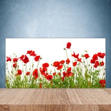 Crédence de cuisine en verre