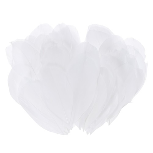 Plumes naturelles plume - 50,