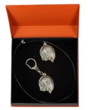 Lhassa Apso - Set - Le Chien