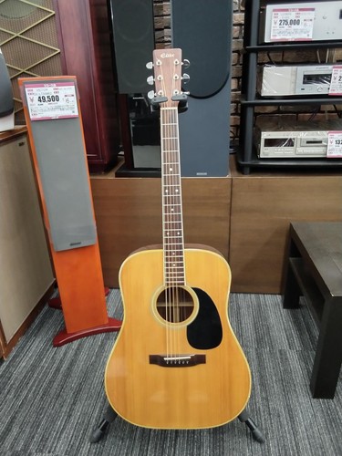 Guitare acoustique takamine - guitare,