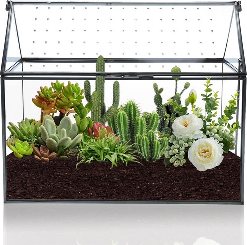 Geometric glass terrarium - glass, with