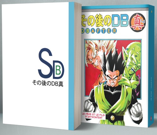 Dragon ball after manga - dragon,