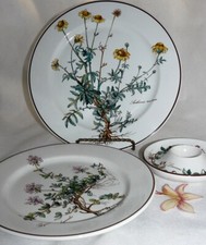 Villeroy and Boch V&B BOTANICA Plants Vitro Porcelain - Parts to Choose From