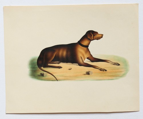 Gouache xix ème siècle - ème,