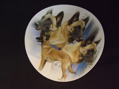 Tapis souris malinois - tapis,