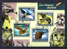 Animaux Oiseaux Rapaces