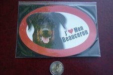 GRAND MAGNET CHIEN  /