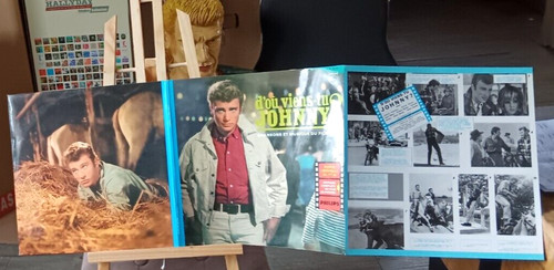 Johnny hallyday vinyle 25 - vinyle,