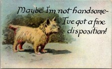 Cairn Terrier Comical Pups Not Handsome Fine Disposition Humor c1910s NP7
