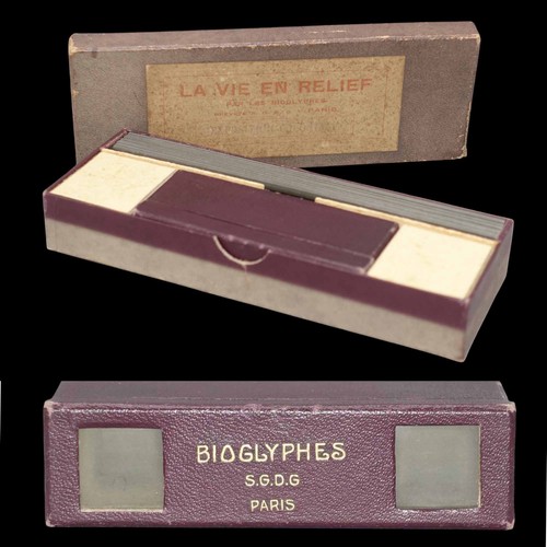 Bioglyphes vie en relief - -,