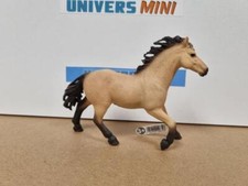13853 - Étalon Quarter horse