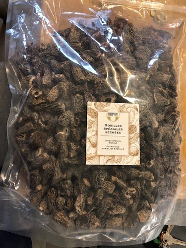 Morilles speciales sans - speciales, (sans