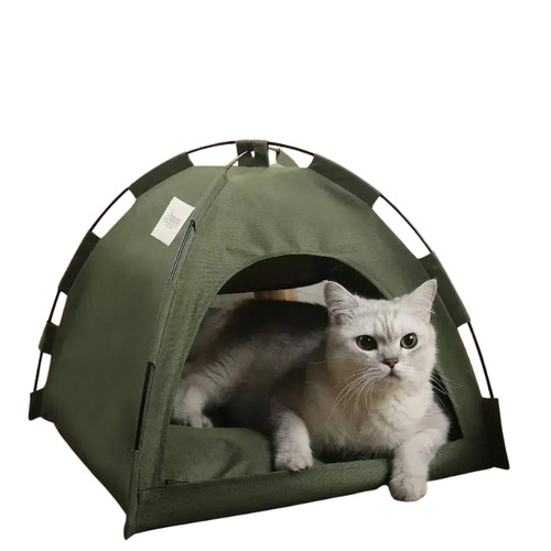 Lit pour chat - pour, et