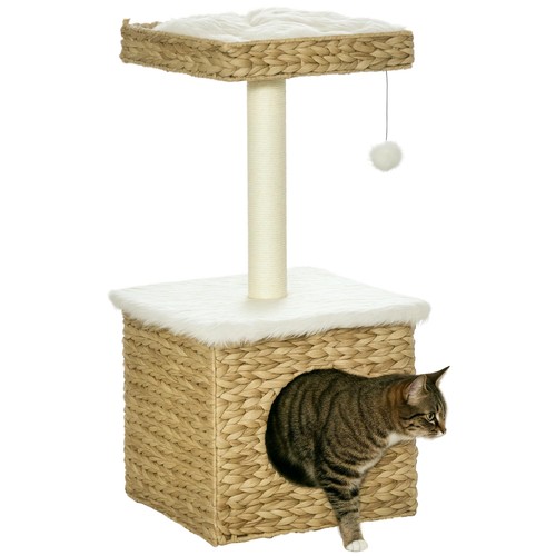 Arbre chat niveaux - niveaux, 1