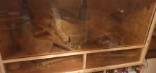 OSB Terrarium 150x60x60cm