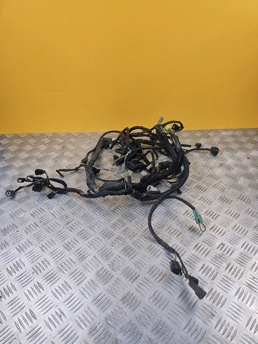 Faisceau électrique pour