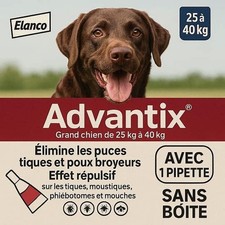 ANTIPARASITAIRE GRAND CHIEN