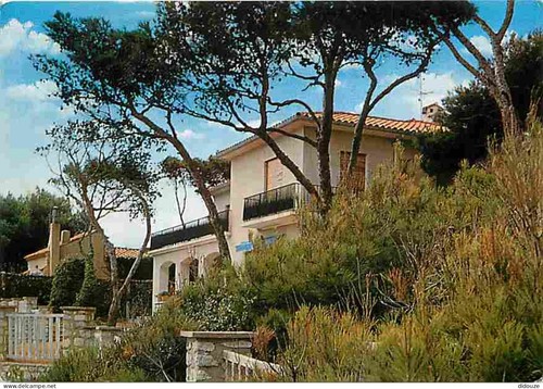 Carte postale carry - 13,