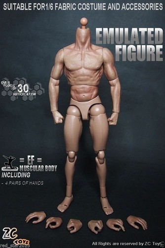 Toys muscular male - zc, 1/6