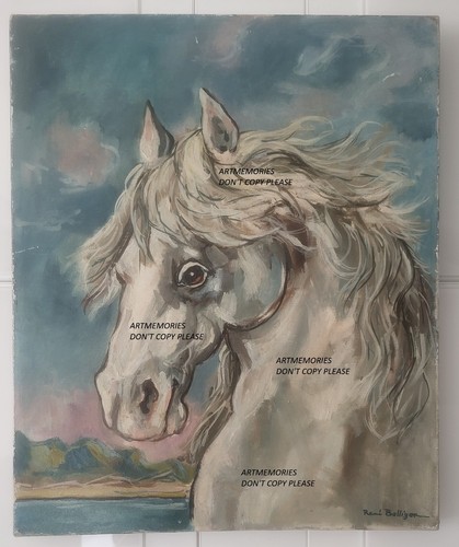 Canvas rené bolliger - /,