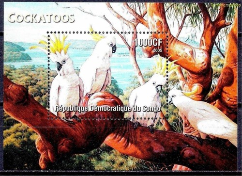 Congo 2005 perroquets blanc - perroquets,