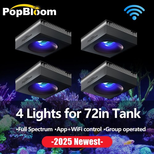 4pcs popbloom marine led - 4pcs,