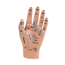 Hand mannequin chinois Medical