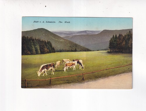 6263 carte postale - postale,