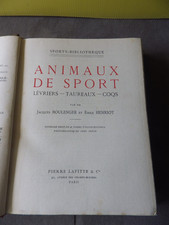 Animaux de Sport - Lévriers