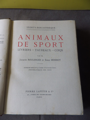 Animaux sport lévriers - animaux,