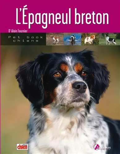 épagneul breton collectif - l'épagneul,