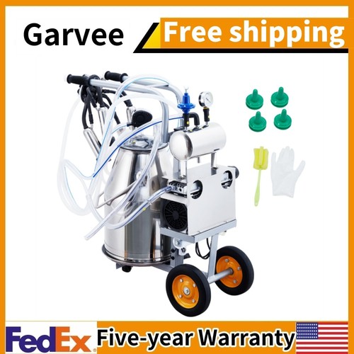 Cow milking machine - cow,
