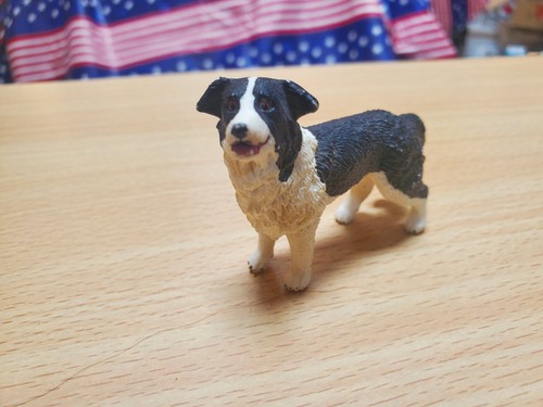 Small border collie - border,