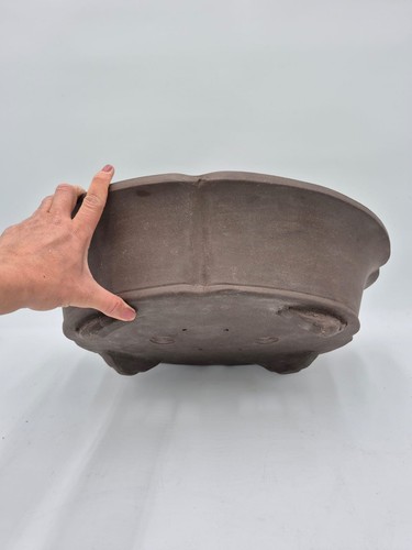 Pot bonsaï x 12 cm - de, 50