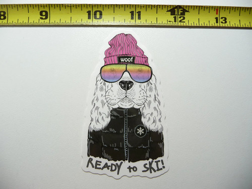 Winter sports dog ready - sports,