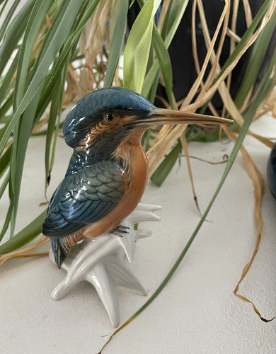 Oiseau martin pêcheur - martin, en