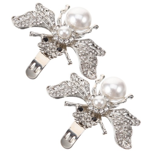Boucle chaussure strass - chaussure,