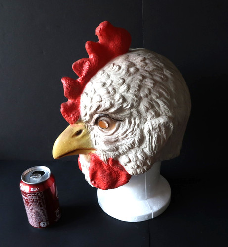 César coq poule - coq,