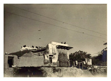 India, Muttra, Vultures on a Roof, Vintage Print, 1949 Photo Taken by Henri L