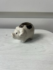 Porte cure dent Cochon