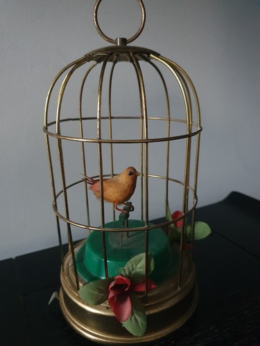 Cage oiseaux musical - À, en