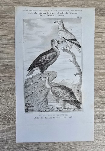 Graphique ancien original